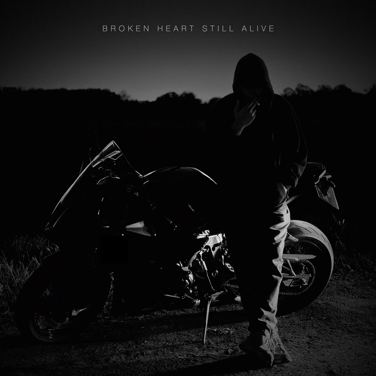 Cover of Broken Heart Still Alive by Merritt Sands