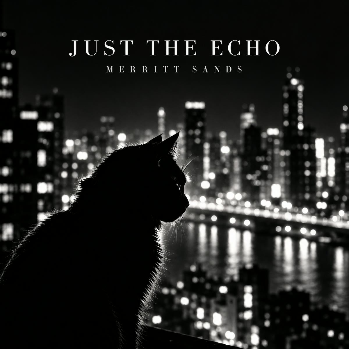 Cover of Just the Echo by Merritt Sands