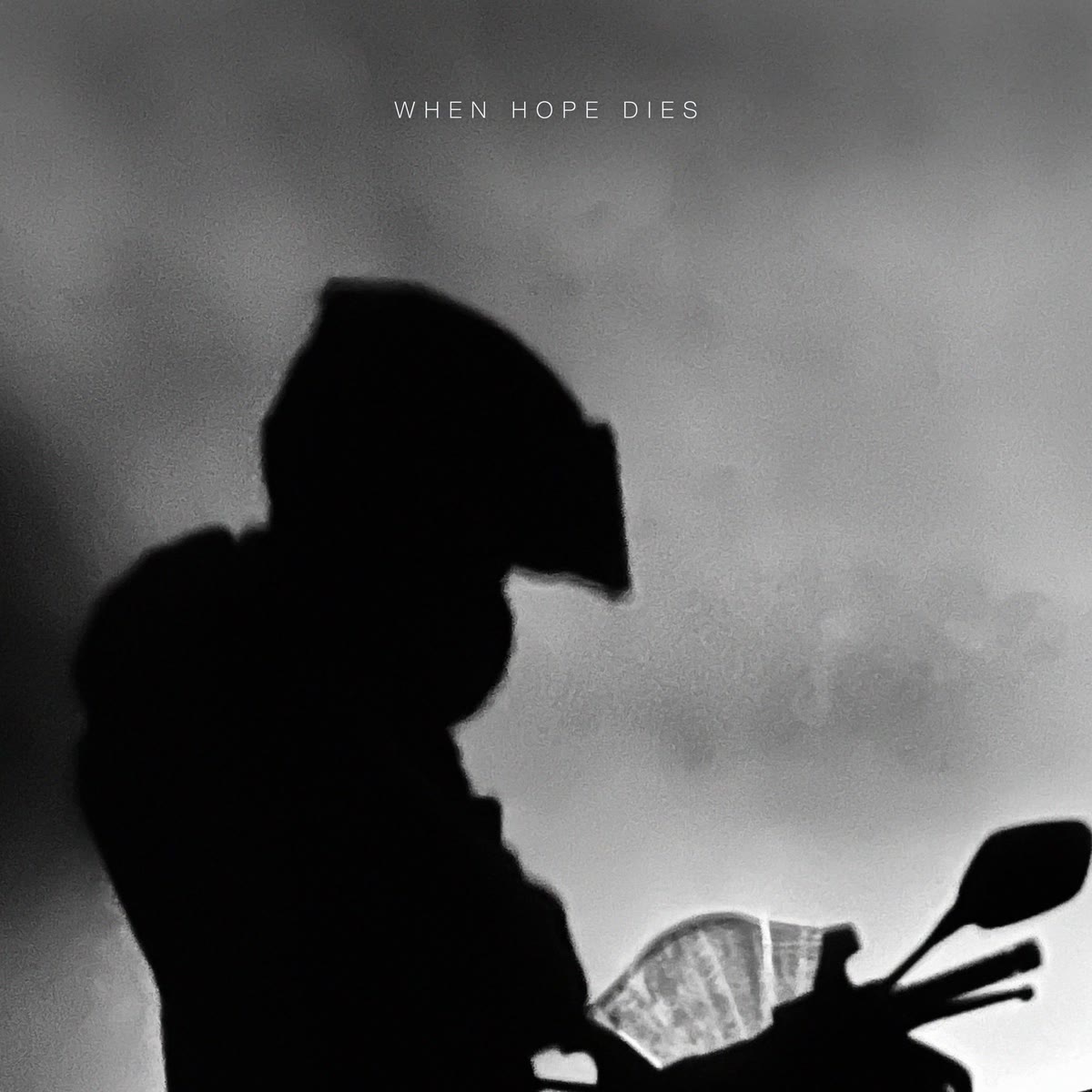 Cover of When Hope Dies by Merritt Sands